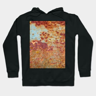 Patterns in Rust Hoodie